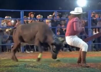 Brincadeira em gangorra termina em susto após ataque de touro em arena