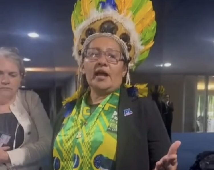 Mulher é impedida de entrar com bandeira do Brasil no Senado Federal