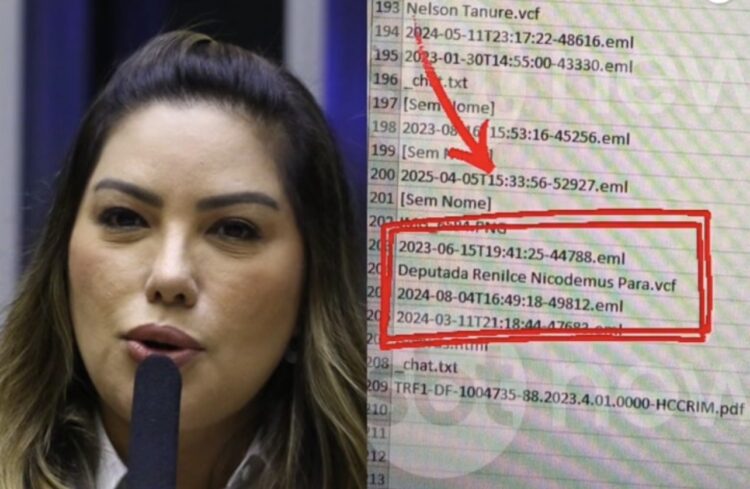 Nome da deputada Renilce Nicodemos aparece em contatos do celular de Daniel Vorcaro após prisão do banqueiro pela PF