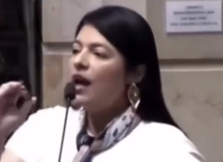 Vereadora do PL diz que “só existe macho e fêmea” e gera reação na Câmara do Rio