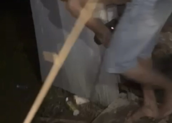 Homem acusado de abusar de ovelha é espancado por grupo no interior do Acre