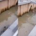 Boto é encontrado em canal no bairro do Marco e mobiliza resgate