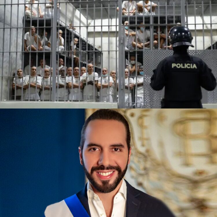 El Salvador aprova prisão perpétua para ‘homicidas, estupradores e terroristas’