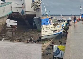 Vendedor é flagrado lavando cheiro-verde na água do rio, no Ver-O-Peso