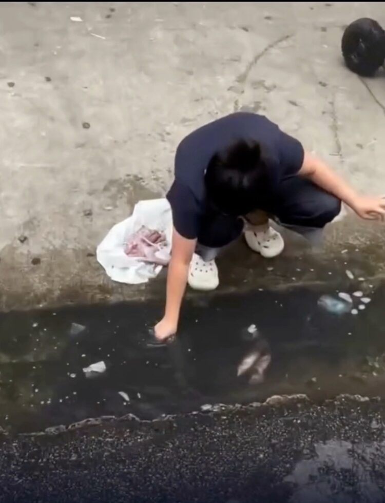 Cena de frango sendo lavado em água de enchente no Brás viraliza e gera preocupação nas redes