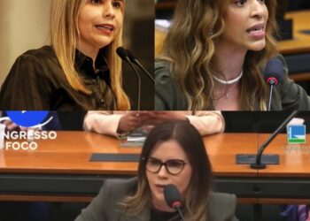 Deputada Federal critica eleição de Erika Hilton na comissão da mulher: ‘Nunca menstruou, nunca amamentou’