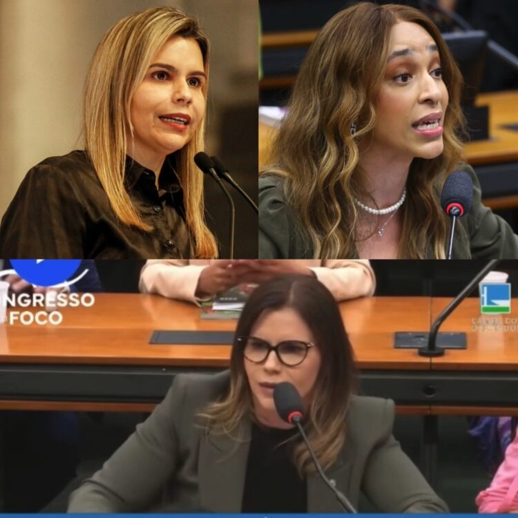 Deputada Federal critica eleição de Erika Hilton na comissão da mulher: ‘Nunca menstruou, nunca amamentou’