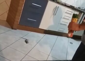 Homem provoca explosão na cozinha ao tentar expulsar rato debaixo do fogão