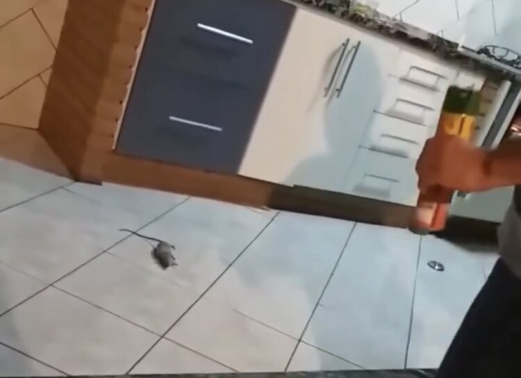 Homem provoca explosão na cozinha ao tentar expulsar rato debaixo do fogão