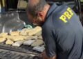 Mais de 100 kg de maconha são encontrados em caminhonete e motorista é preso na BR-230