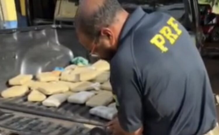 Mais de 100 kg de maconha são encontrados em caminhonete e motorista é preso na BR-230
