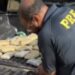 Mais de 100 kg de maconha são encontrados em caminhonete e motorista é preso na BR-230
