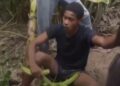 Homem é obrigado a comer cacho de bananas após furto em sítio