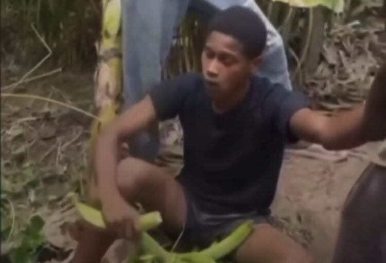 Homem é obrigado a comer cacho de bananas após furto em sítio