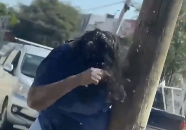 Mulher é atacada por enxame de abelhas no México e caso repercute nas redes