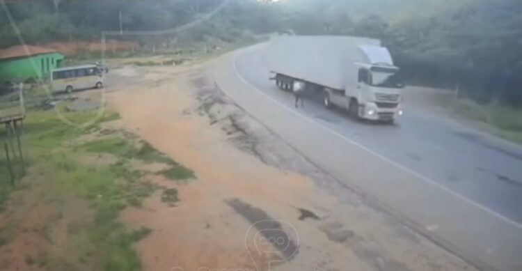 Homem invade pista na BR-116 para forçar carona e causa risco na rodovia