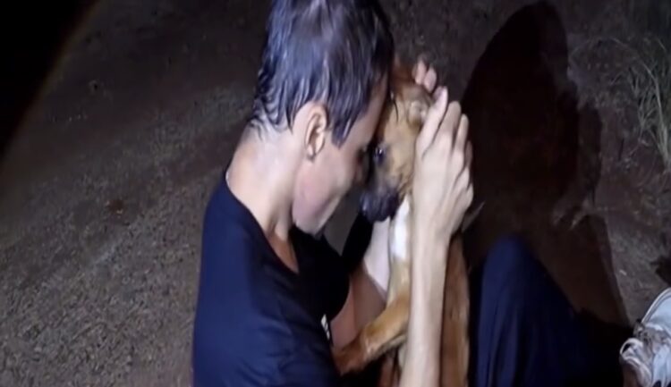 Homem ouve choro, se arrisca ao pular em rio à noite e salva cachorrinha