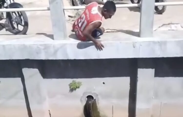 Cobra surge em canal no Curió-Utinga e morador tenta capturá-la