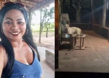 Mulher morre após ser atacada pelo próprio pitbull enquanto dava banho no animal, no Maranhão