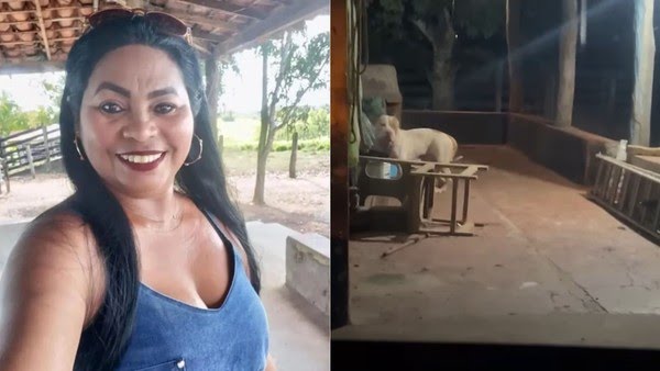Mulher morre após ser atacada pelo próprio pitbull enquanto dava banho no animal, no Maranhão