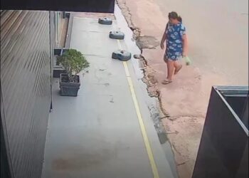 Mulher é flagrada furtando planta de estabelecimento comercial em Itaituba. Suspeita jogou fora a planta em outra esquina