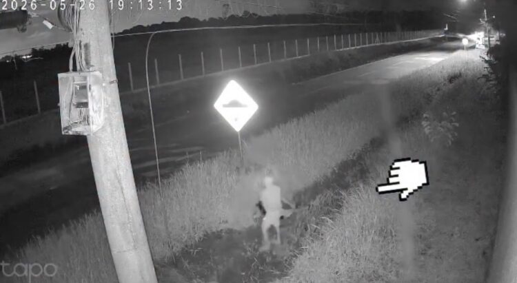 Câmera flagra suspeitos escondidos perto de lombadas na PA-404, em Benevides