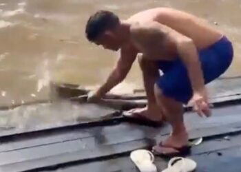 Homem pega sucuri gigante com a mão na orla de Afuá, no Pará