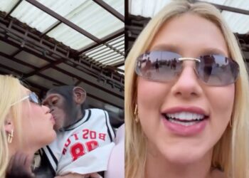 Virgínia Fonseca beija macaco na boca durante viagem à Dubai: Que pegada foi essa?