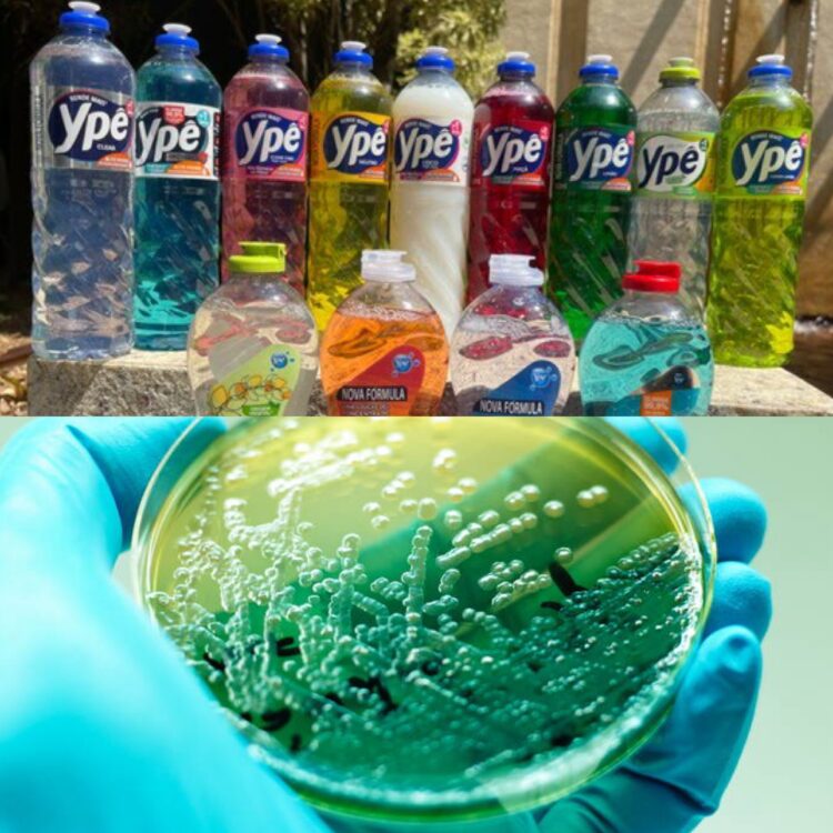 Fábrica da Ypê tinha sujeira, e bactéria fatal foi achada em produtos de limpeza duas vezes