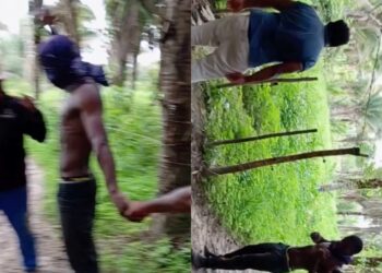 Grupo de amigos leva choque em cerca elétrica após aposta e vídeo viraliza