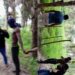 Grupo de amigos leva choque em cerca elétrica após aposta e vídeo viraliza