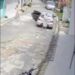 Motorista de aplicativo é flagrado furtando encomenda de 400 salgados no bairro do Tapanã