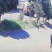 Em Alagoas, motociclista perde controle ao dar “grau” e atropela mulher grávida