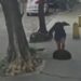 Mulher cai em bueiro após tampa ceder enquanto caminhava para o trabalho