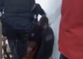 Guardas Municipais são afastados após vídeo de agressão contra usuário de abrigo social