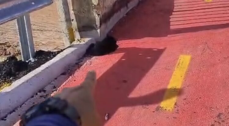 Cratera e rachaduras em viaduto da Avenida Liberdade geram preocupação entre motoristas