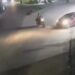 Câmeras registram mulher sendo atropelada e arrastada por carro do ex-companheiro em Portel