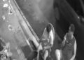 Arrastão assusta moradores no Canal da Gentil; criminosos chegam de carro e atacam grupo na calçada