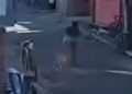 Mulher é atropelada no Guamá e motorista foge sem prestar socorro