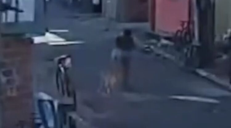 Mulher é atropelada no Guamá e motorista foge sem prestar socorro