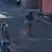 Mulher é atropelada no Guamá e motorista foge sem prestar socorro
