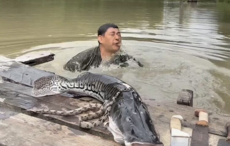 Influenciador se desespera ao encontrar cobra gigante durante gravação em rio