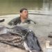 Influenciador se desespera ao encontrar cobra gigante durante gravação em rio