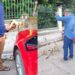 Vídeo de homem alimentando macacos no Bosque Rodrigues Alves causa polêmica