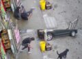 Cachorro atinge pedestre na calçada, homem cai e sofre fratura no braço em acidente registrado por câmera, no México