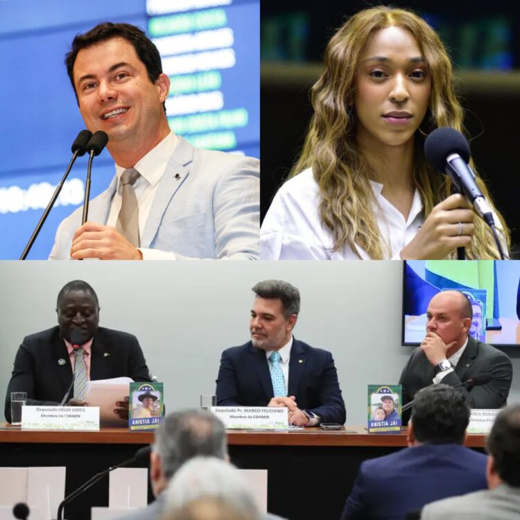 Comissão da Câmara aprova isenção total de luz para abrigos LGBTQIA+ e decisão gera polêmica