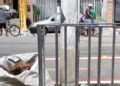 Em plena luz do dia, trio de idosos é flagrado furtando carga de caminhão no bairro do Marco, em Belém