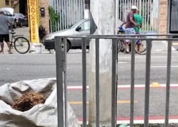 Em plena luz do dia, trio de idosos é flagrado furtando carga de caminhão no bairro do Marco, em Belém