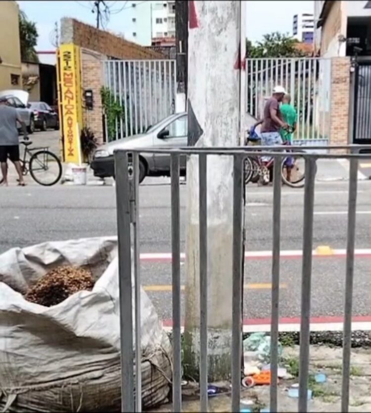 Em plena luz do dia, trio de idosos é flagrado furtando carga de caminhão no bairro do Marco, em Belém