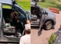 Urso invade caminhonete e surpreende motorista ao ocupar banco do passageiro nos EUA